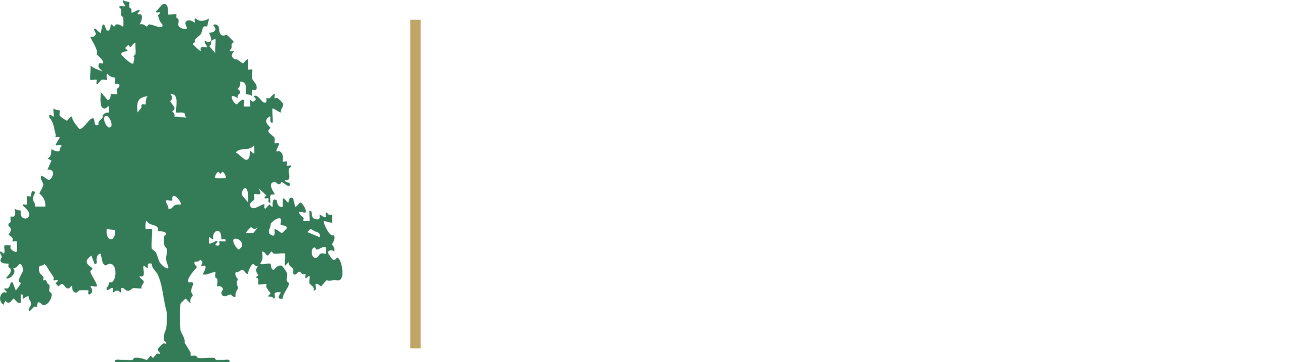 Burr Ridge Advisors company logo featuring a green tree icon on the left separated by a thin gold line from white serif text reading "BURR RIDGE Advisors".