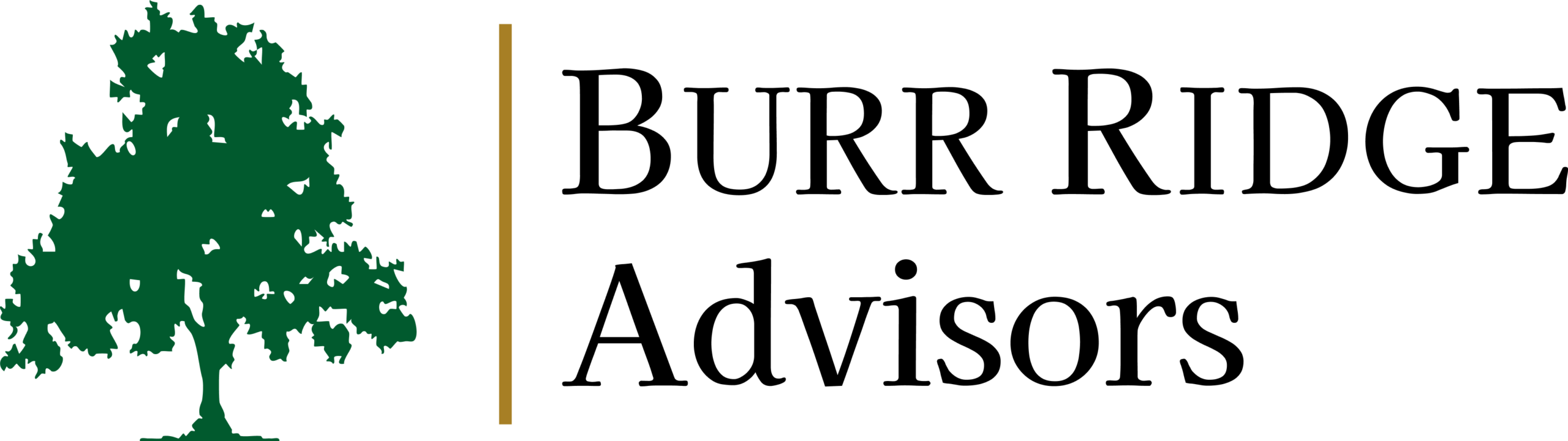 Company logo for Burr Ridge Advisors displaying a green tree icon on the left, separated by a vertical gold line from black serif text reading "BURR RIDGE Advisors".